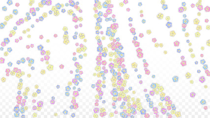 Colorful Vector Realistic Petals Falling on Transparent Background.  Spring Romantic Flowers Illustration. Flying Petals. Sakura Spa Design. Blossom Confetti. Design Elements for Wedding Decoration.