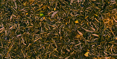 Texturas naturales de cesped y madera