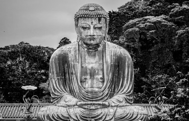 Most famous landmark in Kamakura - The Great Buddha Daibutsu