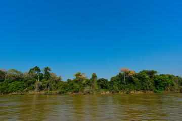 River landscape  and jungle,Pantanal, Brazil