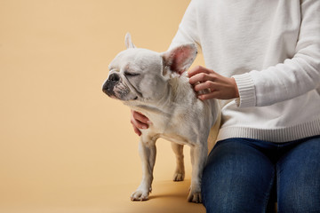 cropped view of woman caressing french bulldog with closed eyes on beige background