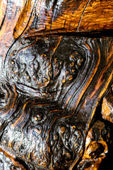 Burnt wood as abstract background