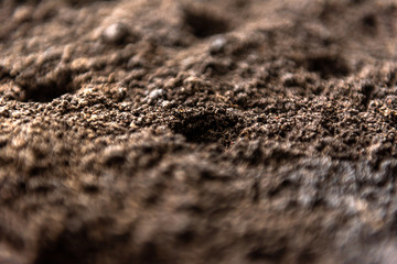 Land with seeds.