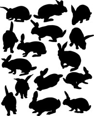 Obraz premium fifteen rabbit silhouettes collection isolated on white