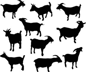 set of ten goats isolated on white