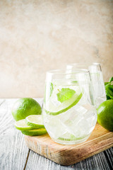 Summer sour cocktail mojito