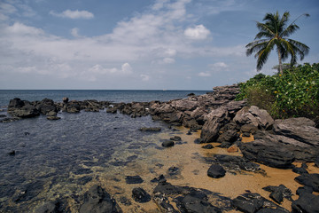 Palm trees by the sea and blue sky with clouds