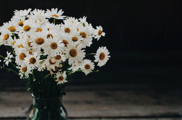 Vintage still life with bunch of daisy flowers on dark background