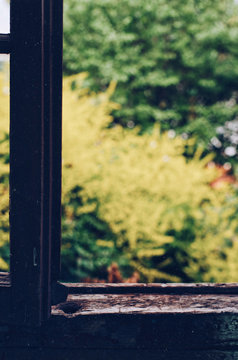 Rusted wooden window frame, summer garden view