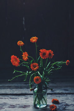 Still life with bunch of red chrysanthemum in glass bottle on dark background