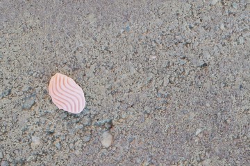 Pink used chewing gum spit out on the pavement, step on