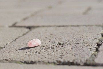 Pink used chewing gum spit out on the pavement