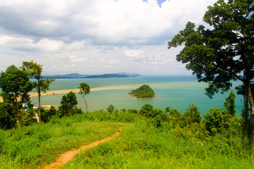 The beautiful natural tree in the garden into sea view