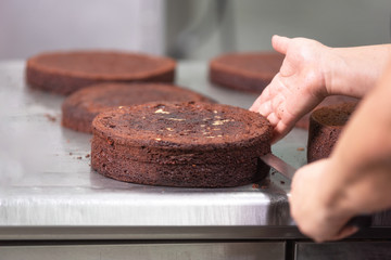 Professional confectioner making a delicious cake in the pastry shop .