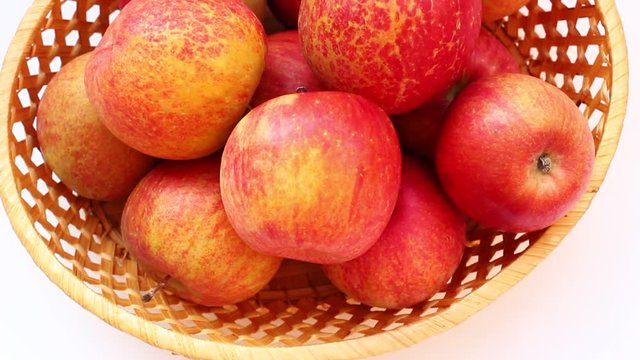 Fuji variety apples