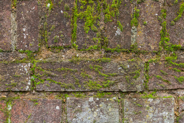 Old brick stone wall green moss background texture