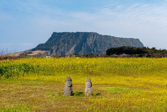 Seongsan Ilchulbong In Jeju Island,South Korea.