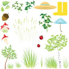 vector set with leaves, forest trees, insects, grass, other