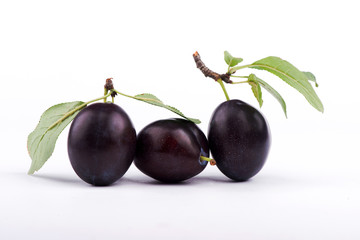  plum close-up. sweet plum