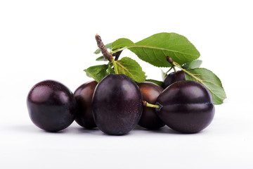  plum close-up. sweet plum