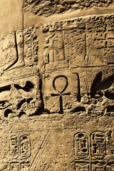 Ancient egyptian hieroglyphs in the Karnak Temple in Luxor