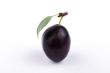  plum close-up. sweet plum