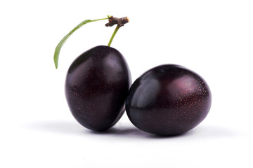  plum close-up. sweet plum