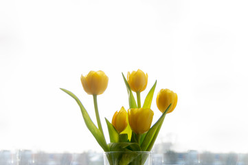 Bouquet of yellow Spring tulips in a glass vase standing on a window.Top horizontal view copyspace