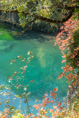 abstract view from cliff at plitvice lakes onto red leaves infront of turquoise water