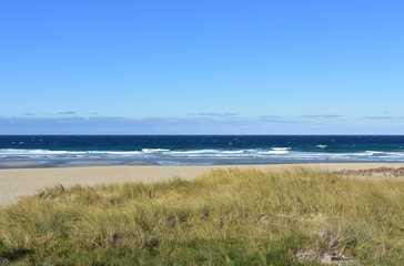Wild beach with grass, sand dunes and blue sea with waves and foam. Clear sky, sunny day. Galicia, Spain.