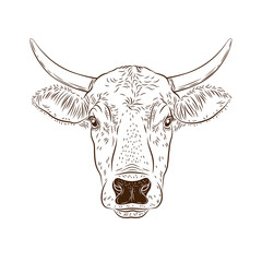 Cow calf bull’s head isolated on white background. Cattle logo. Butchery sign. Beef, farm symbol. Poultry. Black and white emblem, symbol, silhouette. Stamp. Stencil illustration. Sketch. Retro.