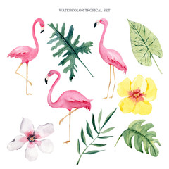 watercolor tropical leaves