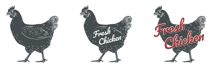 Chicken hen fresh, roster head, egg isolated logo, white back. For shop,  farm, butcher, poultry. Illustration. Label, sign, emblem, symbol, mascot. Set of logotypes. 