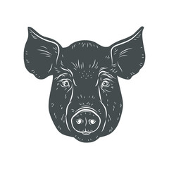 Pig head isolated on white background. Hog, pork, piglet, swine, boar. Farm or shop meat logo, icon, sign, emblem, symbol, stamp. Retro ink engraving style. Hand drawing illustration.