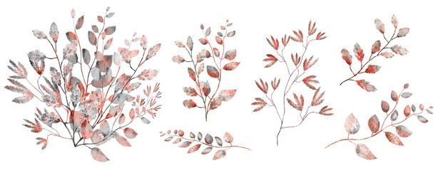 a twig with fowers drawing watercolor  botanical illustation