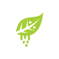 Obraz premium Leaf Logo Design Vector Template Isolated