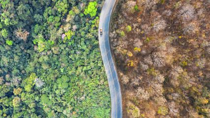 Aerial top view of a road in the forest, The concept of Dry forests and green forests