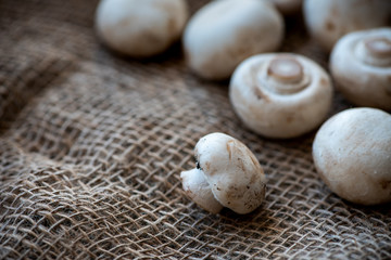 Mushrooms on burlap.