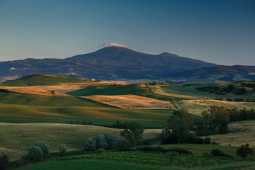 Obraz premium Rolling hills in Tuscany, Val D'Orcia