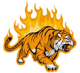snarling Bengal tiger on fire,Tiger Mascot. vector graphic to design
