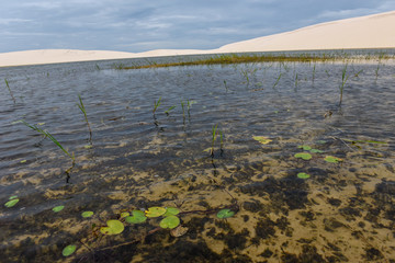 Lagoon on the middle of the dunes at Lencois Maranhenese National Park, Brazil