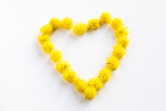 Simbolo del cuore fatto con fiori di mimosa per la festa della donna 8 Marzo.