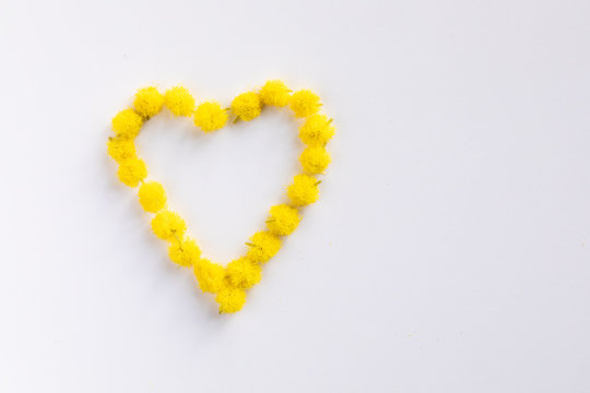 Simbolo del cuore fatto con fiori di mimosa per la festa della donna 8 Marzo. Spazio bianco per aggiungere scritta.