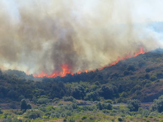 violent feu de forêt