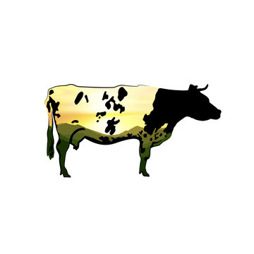 Icon of spotted black cow with double exposure. Background of green mountains and colorful sunset sky.