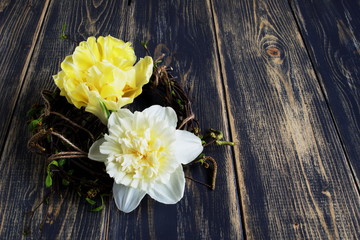 Stylish wreath of birch branches with double yellow tulip and white narcissus on dark old rough wooden background.