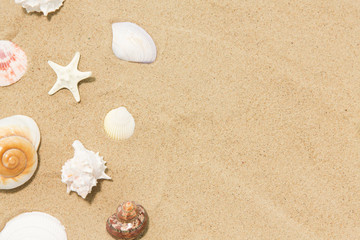 vacation and summer holidays concept - seashells on beach sand