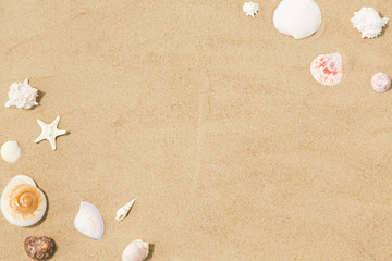 vacation and summer holidays concept - seashells on beach sand