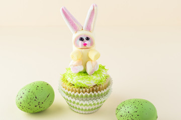 Cupcake with rainbow marshmallow bunny.