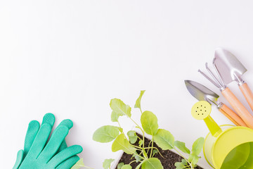Flat lay composition with garden tools
